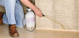 Commercial Pest Control Charleston SC