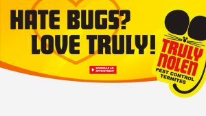 Hate Bugs, Love Truly Nolen Pest Control Termites