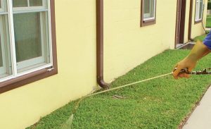 Mosquito Control Charleston, SC