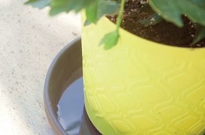 Charleston Moisture Control